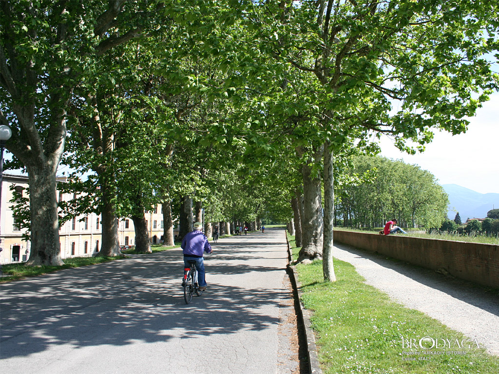 Lucca